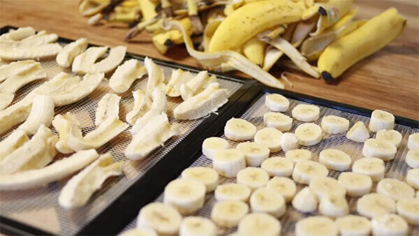 Hướng dẫn sử dụng máy sấy chuối mini hiệu quả