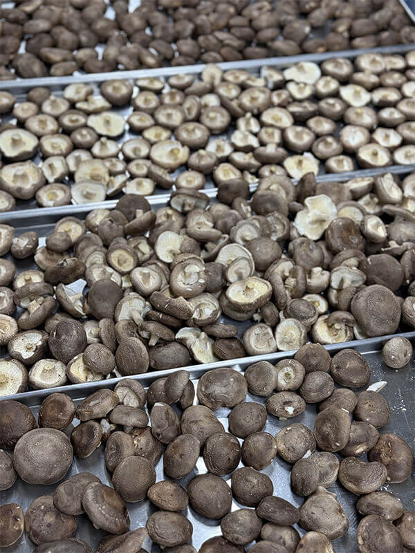 lợi ích từ nấm hương