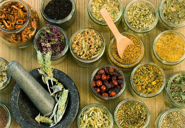 máy sấy thăng hoa có sấy được thuốc bắc không