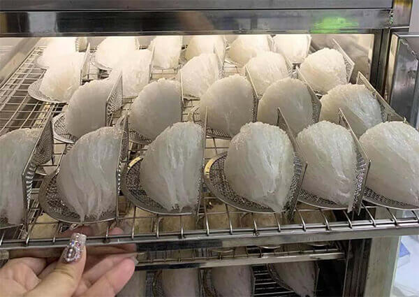 máy sấy yên lạnh và sấy thăng hoa