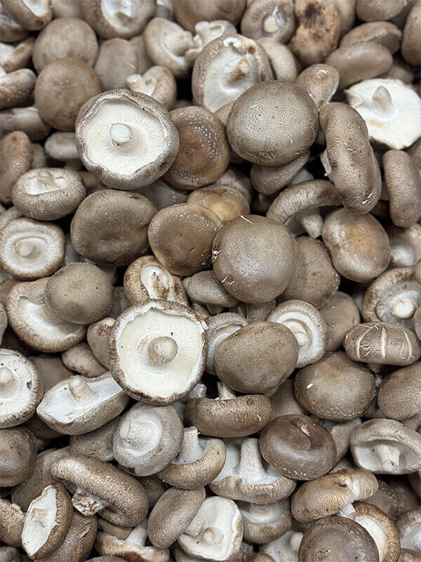 nấm hương có tác dụng bổ gan thận không