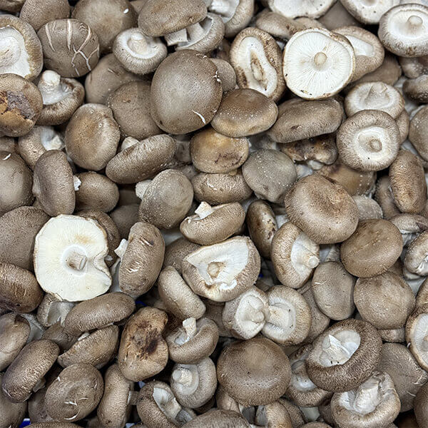 nấm hương có tốt cho hệ tim mạch