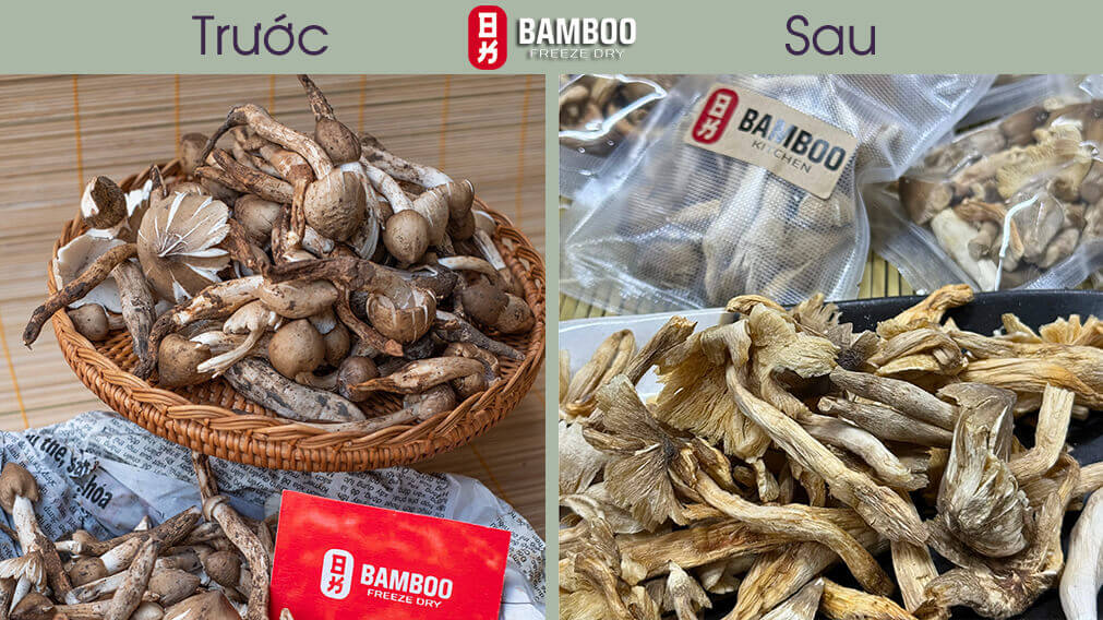 nấm mối tự nhiên sấy thăng hoa