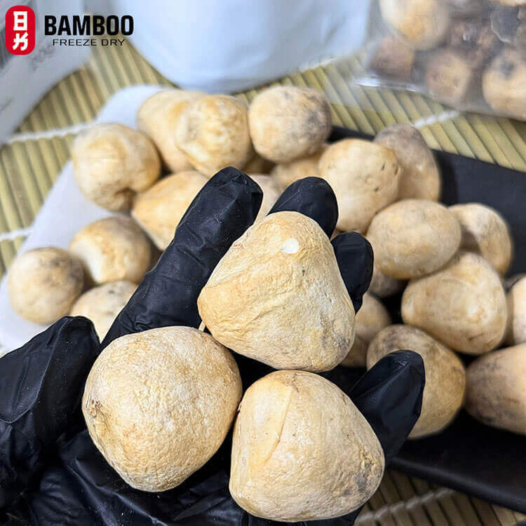 nấm rơm sấy đông khô chuẩn dinh dưỡng