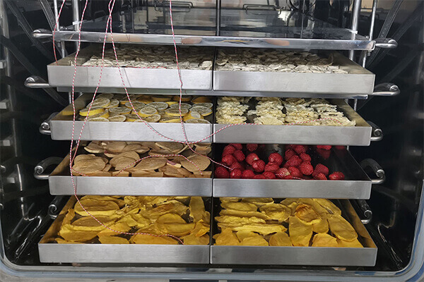 so sanh chi phí lợi nhuận quy trình sấy thăng hoa