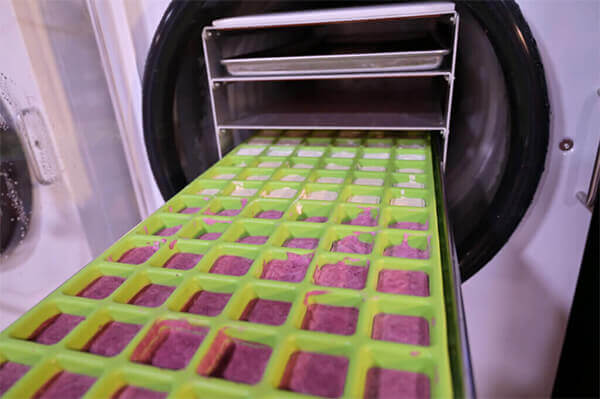 So sánh quy trình sản xuất sữa chua sấy thăng hoa và sấy lạnh