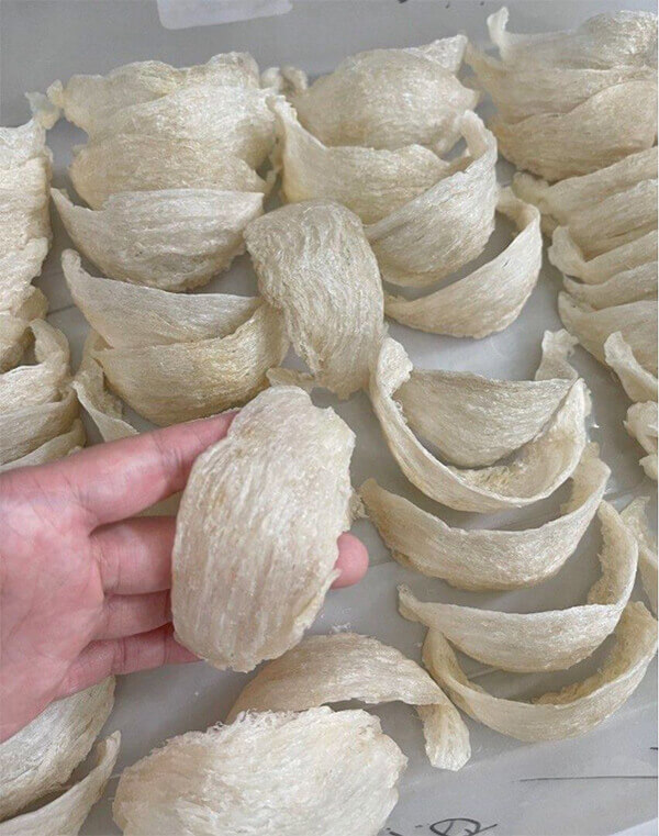 sự khác biệt của tổ yến sấy lạnh và sấy thăng hoa