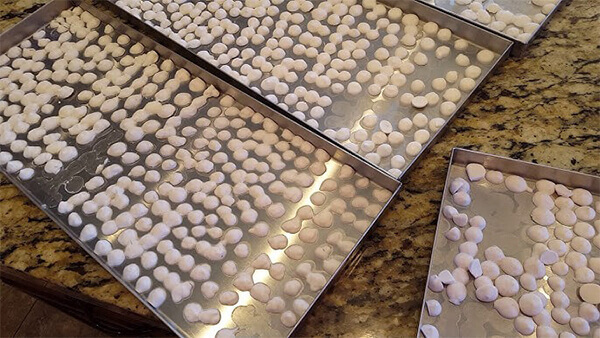 sua chua say đông khô