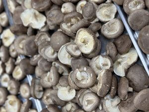 tác dụng nấm hương đối với sức khỏe người dùng