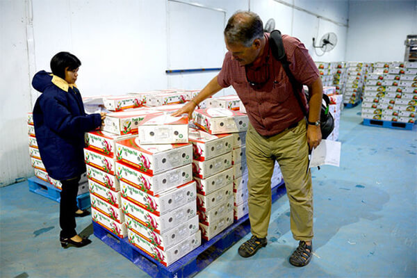 thị trường xuất khẩu trái cây sấy khô