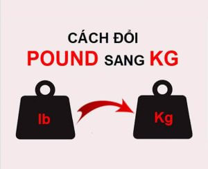 cách quy đổi từ pound sang kilogram và ngược lại