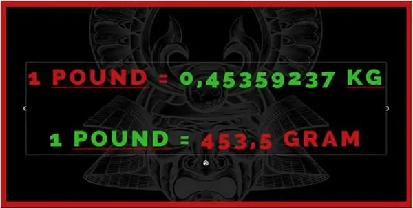 công thưc quy đổi bound sang kg