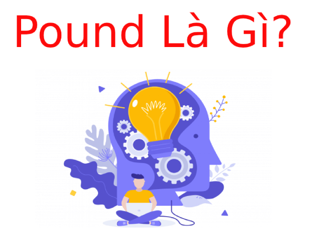 pound là gì