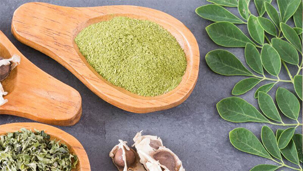 Lưu ý khi bổ sung chùm ngây sấy thăng hoa vào chế độ ăn