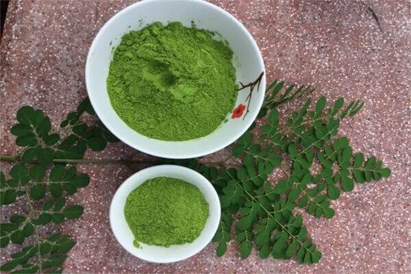 bột chùm ngây sấy