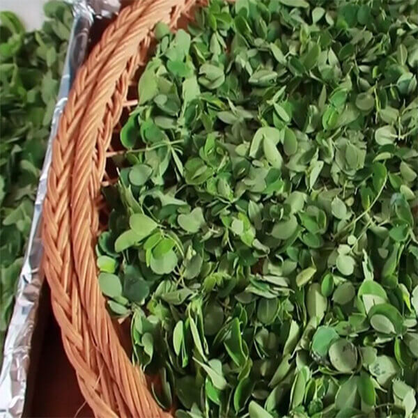 Các tiêu chí đánh giá chùm ngây sấy thăng hoa