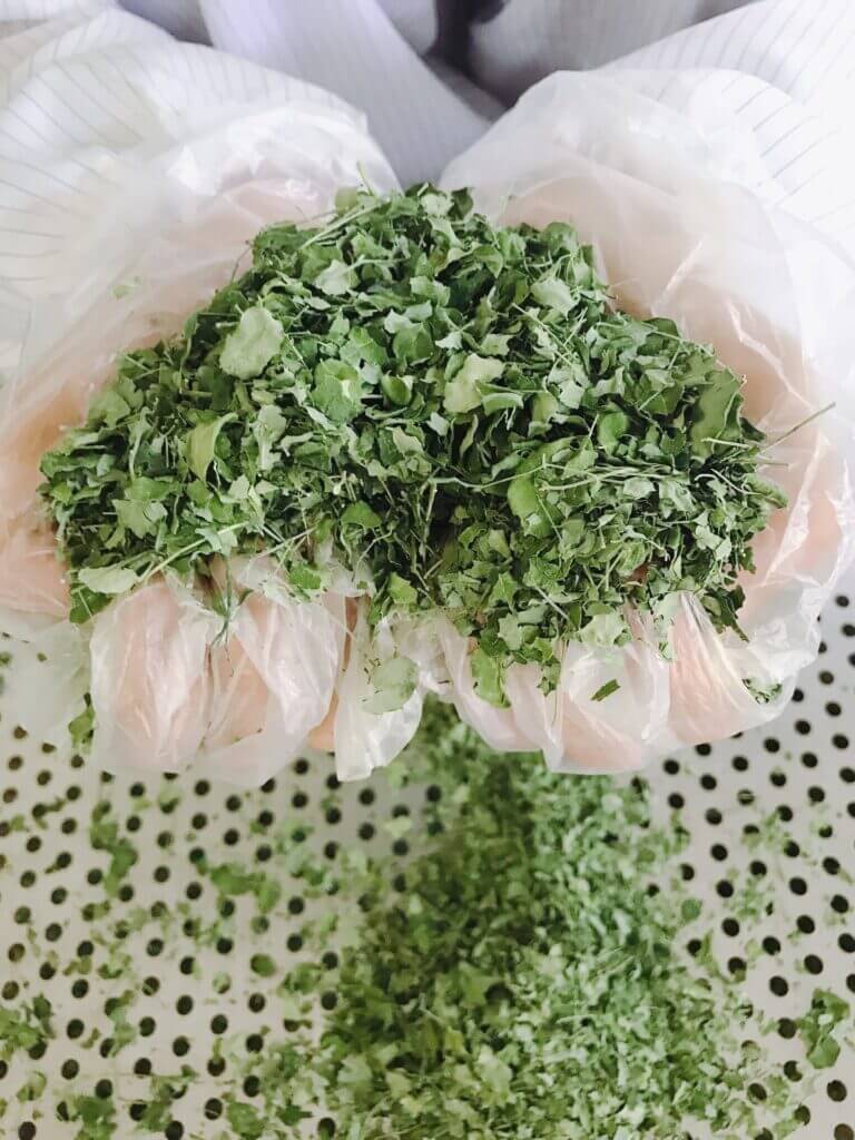 chùm ngây sấy có gì đặc biệt