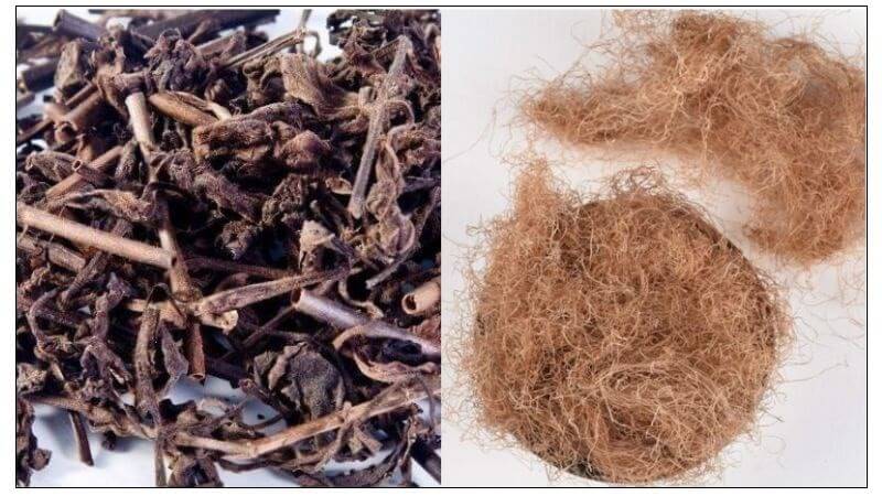 Các dược liệu phổ biến tương tự và tác dụng của chúng