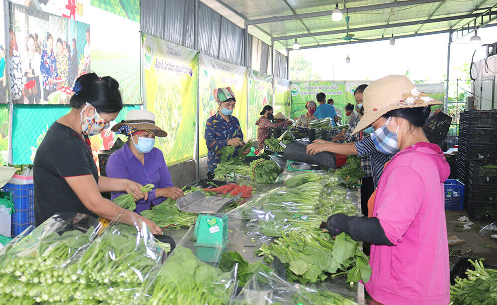 phân biệt nông sản và thực phẩm