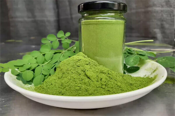 phương pháp sấy chum ngây để bảo quản