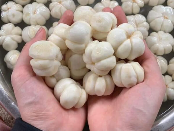 lựa chọn nguồn măng cụt đầu vào uy tín