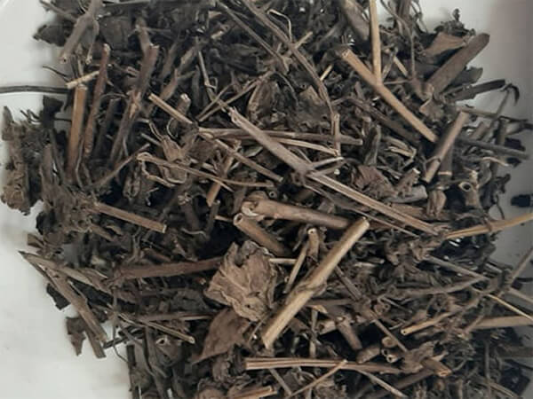 Công dụng sức khỏe của trà nhân trần