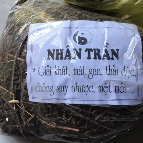 Cách bảo quản trà nhân trần đã pha
