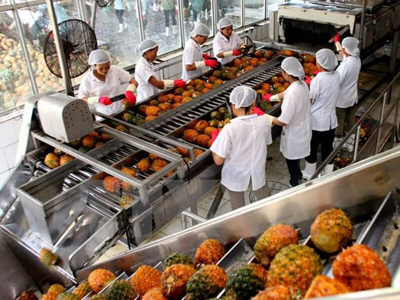 Nhược điểm và thách thức trong công nghệ sấy thăng hoa