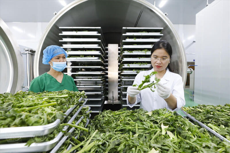 Tính năng và nguyên lý hoạt động của công nghệ sấy thăng hoa