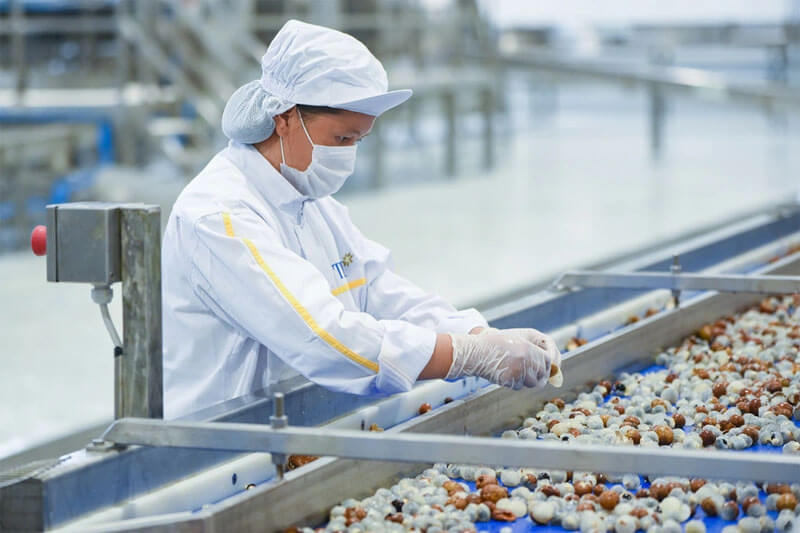 Ứng dụng của trái cây sấy thăng hoa trong công nghiệp thực phẩm