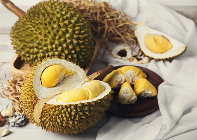 Các giống sầu riêng phù hợp để sấy thăng hoa