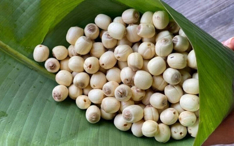 phương pháp sấy hạt sen