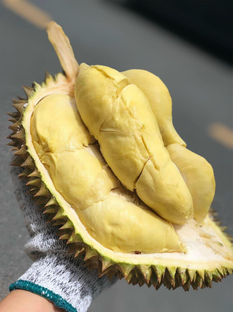 Sầu riêng Monthong