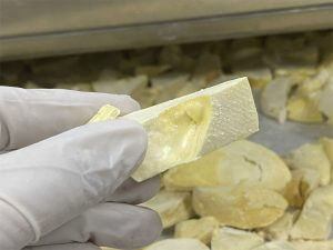 Sầu riêng sấy giòn và sầu riêng sấy dẻo