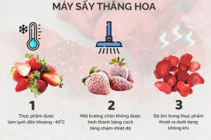 Công nghệ sấy thăng hoa trong bảo quản thực phẩm