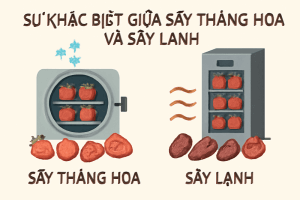 Sự khác biệt giữa sấy thăng hoa và sấy lạnh
