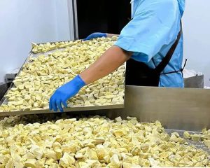 Các yếu tố ảnh hưởng đến chất lượng trái cây sấy thăng hoa