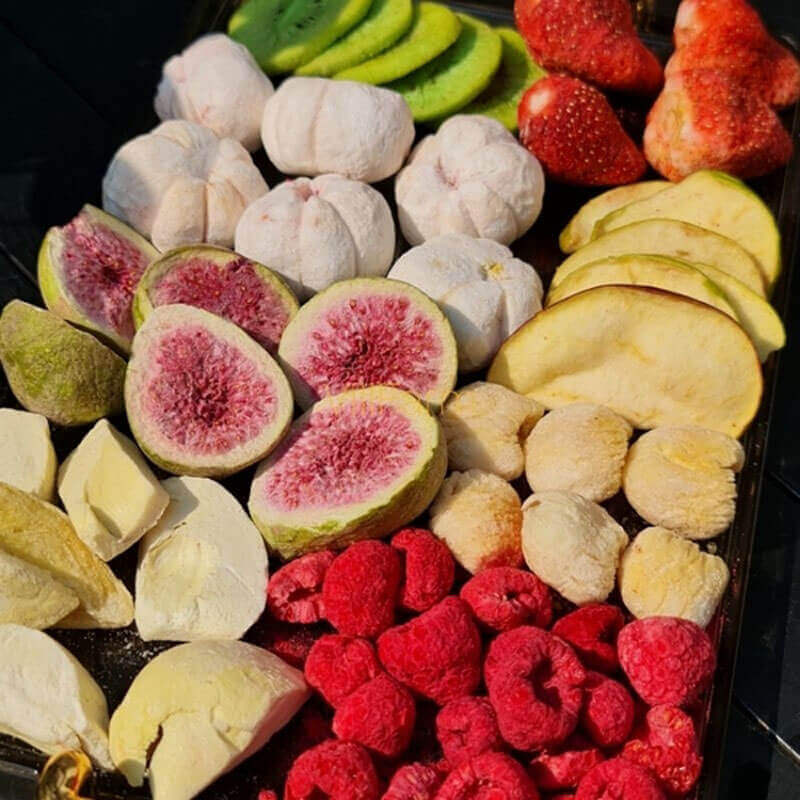 Các yếu tố vật lý trong quá trình sấy thăng hoa