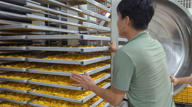 giải pháp cải thiện chất lượng trái cây sấy thăng hoa