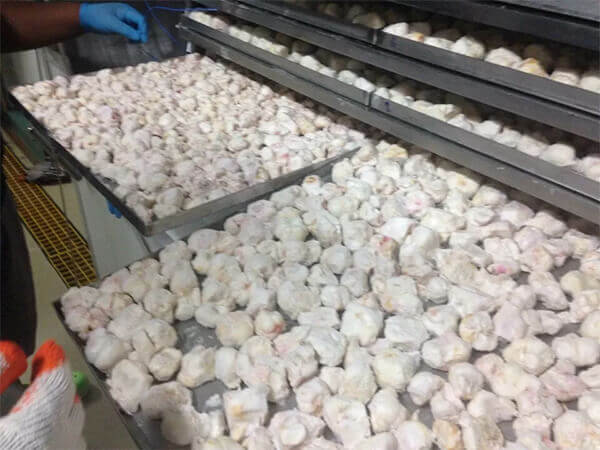 Lợi ích của sấy thăng hoa đối với thực phẩm