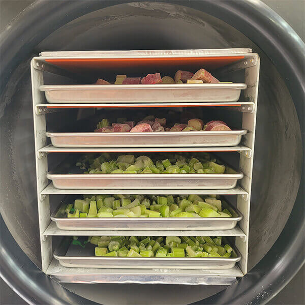 Phân tích một số nghiên cứu về tác động của sấy thăng hoa đến dinh dưỡng