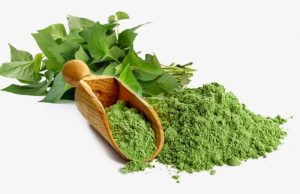 bột diếp cá sấy thăng hoa
