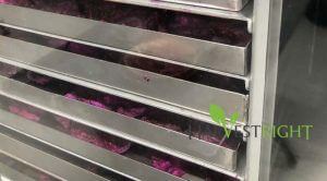 Lợi ích của việc sử dụng dịch vụ gia công sấy trái cây?