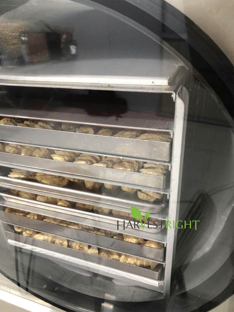 Lợi ích của việc sử dụng dịch vụ gia công sấy trái cây