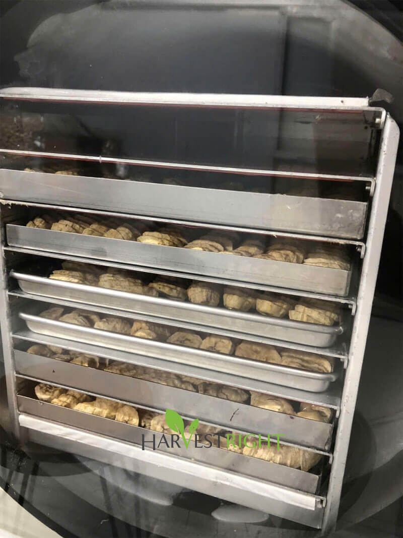 Lợi ích sức khỏe của trái cây sấy khô