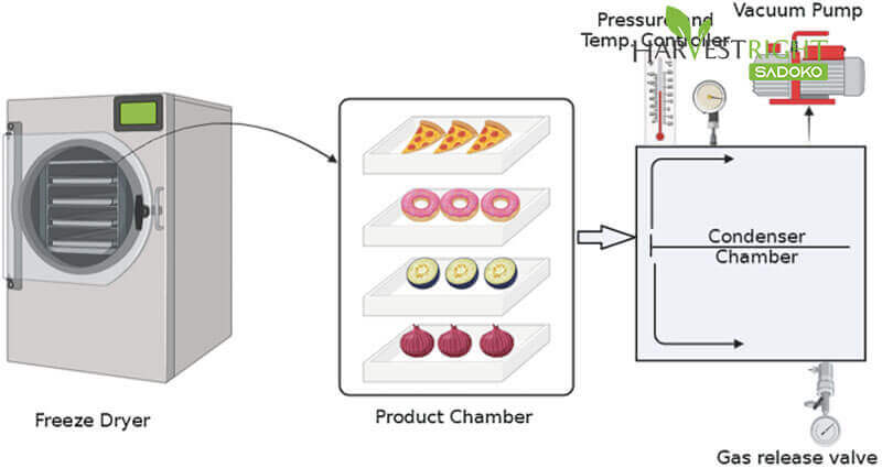 công nghệ sấy trái cây xuất khẩu