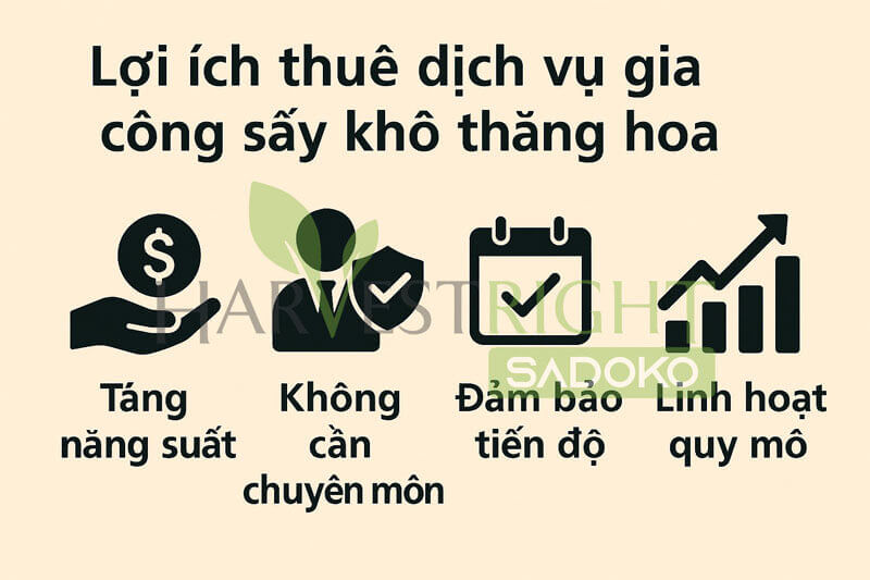 Lợi ích của việc đầu tư máy móc trong sản xuất