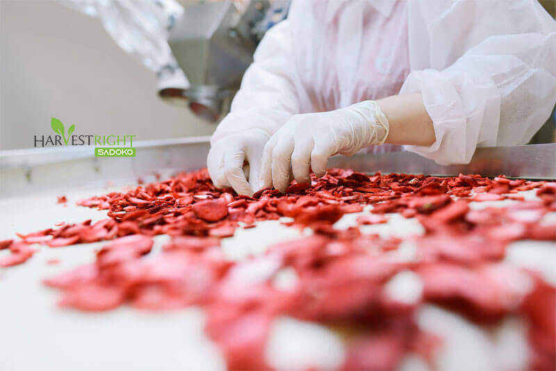 nguồn trái cây xuất khẩu