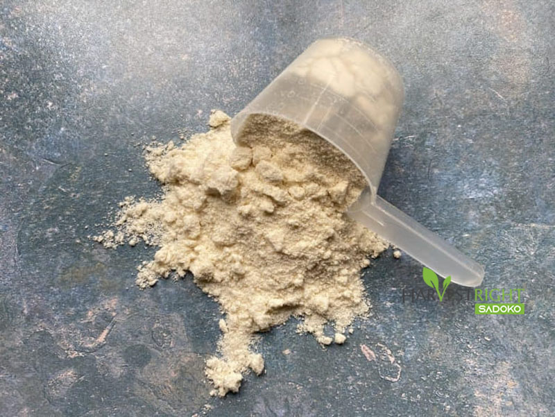 protein đóng vai trò then chốt người chạy marathon