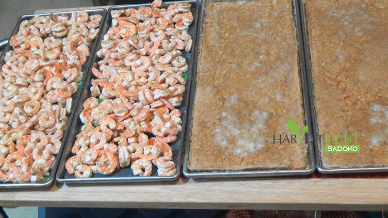 Tầm Quan Trọng Của Công Nghệ Bảo Quản Thực Phẩm Cao Cấp